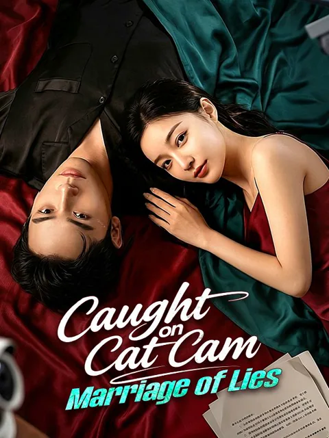 Caught on Cat Cam: Marriage of Lies poster