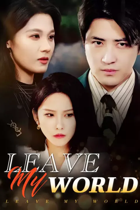 Affiche de Leave My World