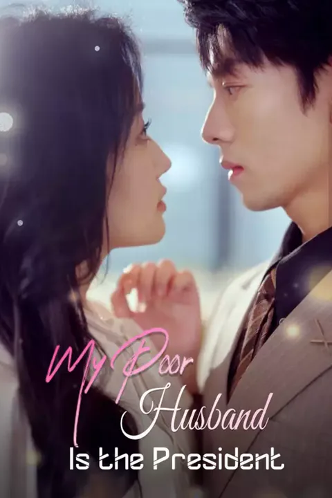 Affiche de My Poor Husband is the President