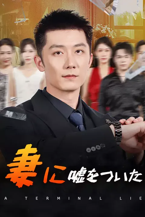 妻に嘘をついたのポスター