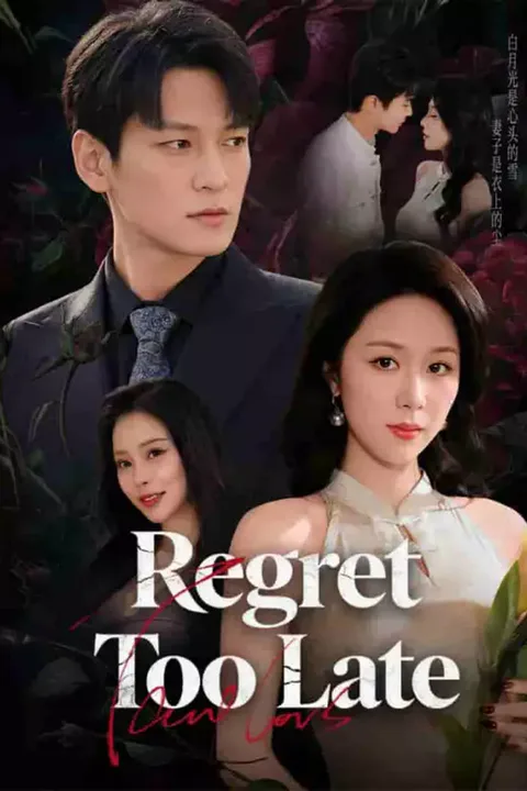 Poster Regret Too Late