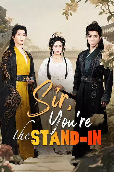 Affiche de Sir, You're the Stand-In