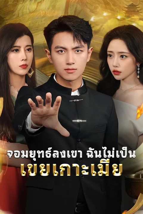 โปสเตอร์ จอมยุทธ์ลงเขา ฉันไม่เป็นเขยเกาะเมีย