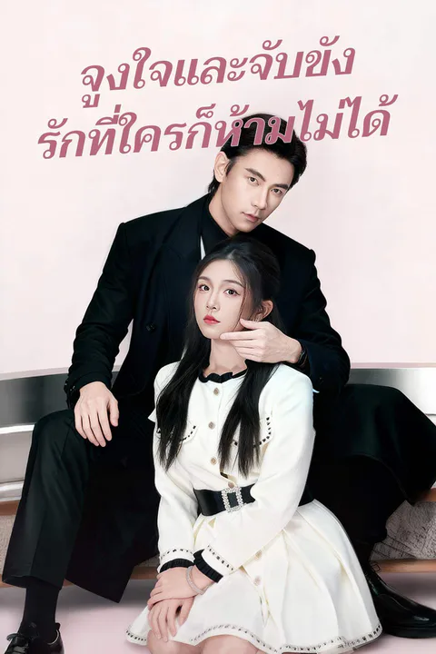 โปสเตอร์ จูงใจและจับขัง รักที่ใครก็ห้ามไม่ได้
