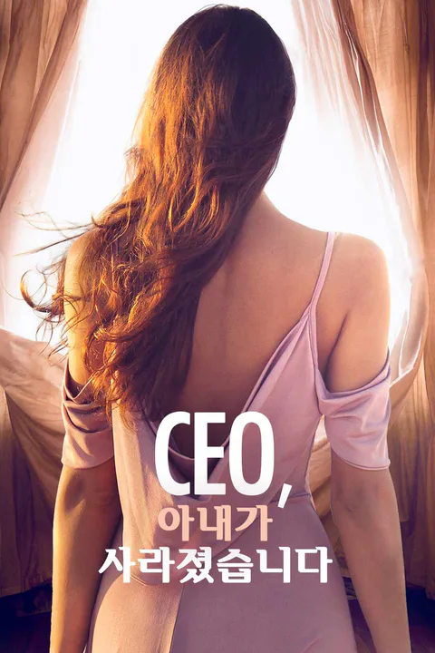 CEO, 아내가 사라졌습니다 포스터