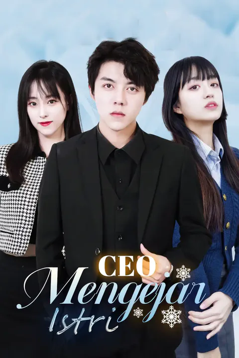 Poster CEO Mengejar Istri