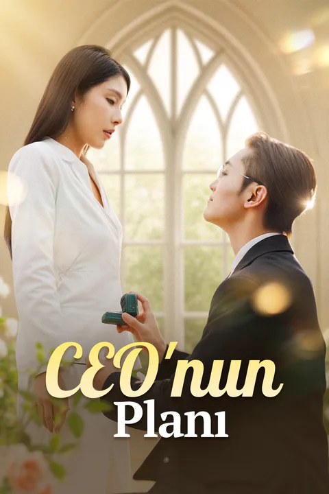 CEO'nun Planı afişi