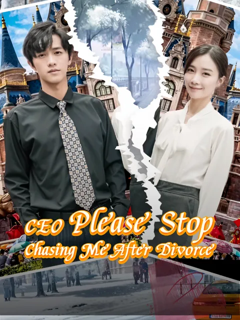 CEO Please Stop Chasing Me After Divorce poster