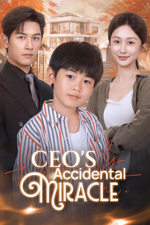 CEO's Accidental Miracle poster