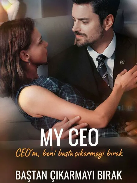 CEO'm, beni baştan çıkarmayı bırak afişi