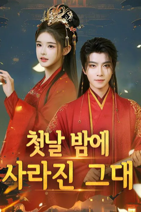첫날 밤에 사라진 그대 포스터