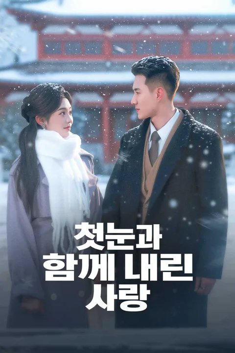 첫눈처럼 다가온 사랑 포스터