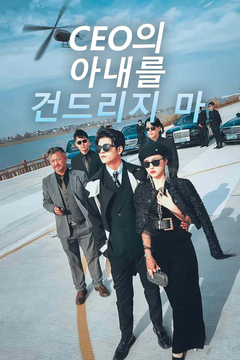 CEO의 아내를 건드리지 마 포스터
