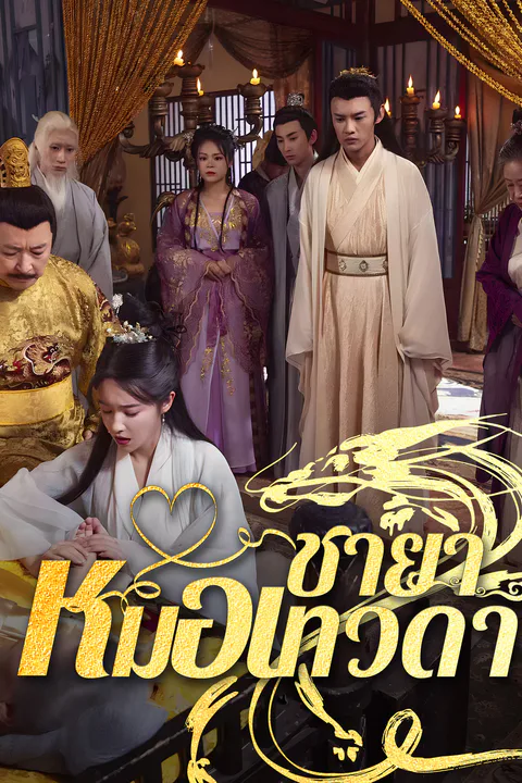 โปสเตอร์ ชายาหมอเทวดา