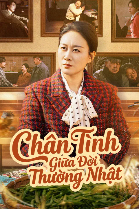 Poster Chân Tình Giữa Đời Thường Nhật