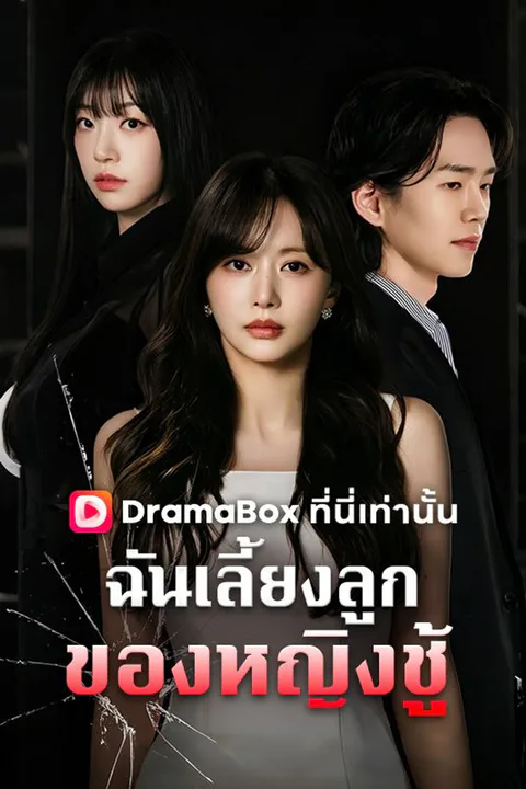 โปสเตอร์ ฉันเลี้ยงลูกของหญิงชู้ (พากย์เสียง)