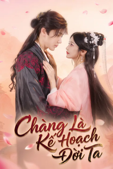 Poster Chàng Là Kế Hoạch Đời Ta