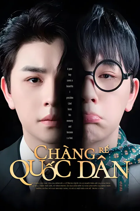 Poster Chàng rể quốc dân