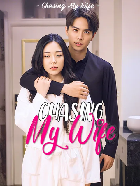 Chasing My Wife poster