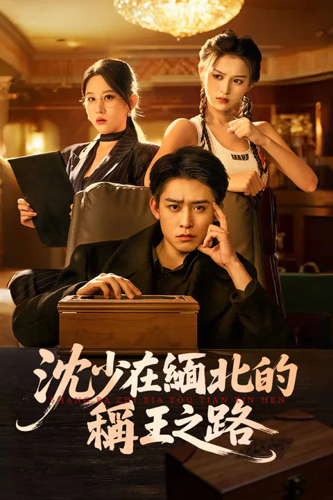 《沈少在緬北的稱王之路》海報