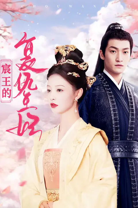 《宸王的复仇王妃》海报