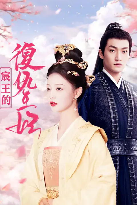 《宸王的復仇王妃》海報