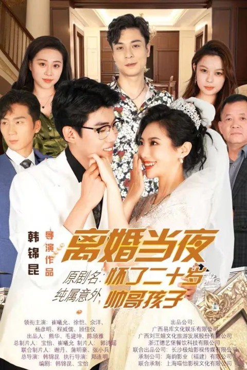 《离婚当夜怀了二十岁帅哥孩子》海报