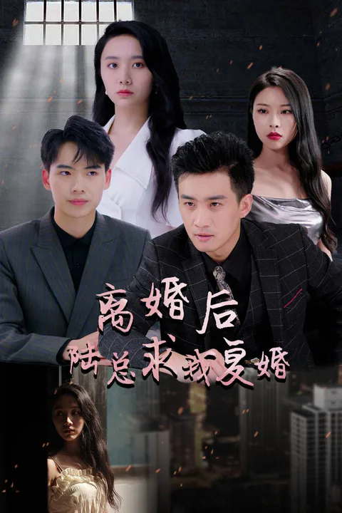 《离婚后，陆总求我复婚》海报