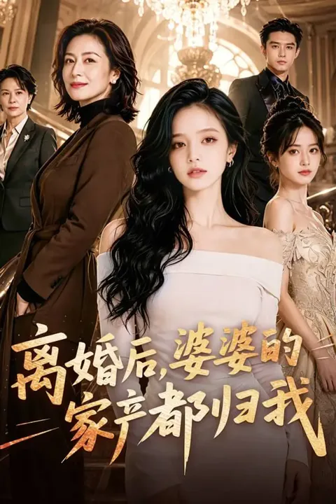 《离婚后，婆婆的家产都归我》海报