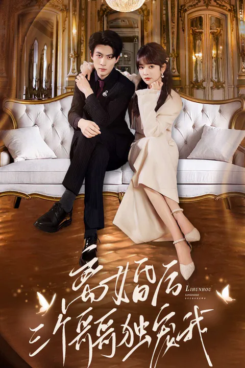 《离婚后，三个哥哥独宠我》海报