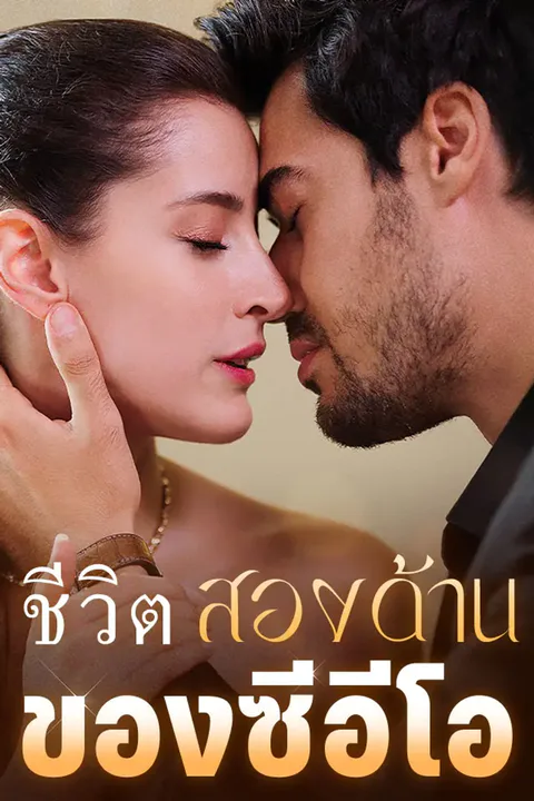 โปสเตอร์ ชีวิตสองด้านของซีอีโอ