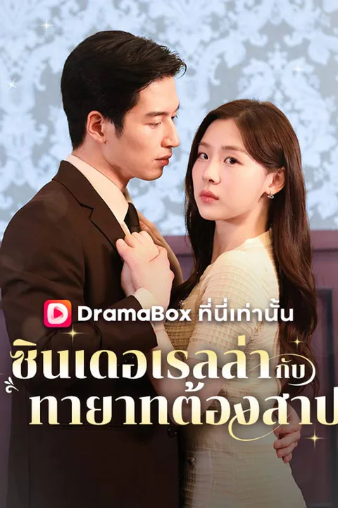 โปสเตอร์ ซินเดอเรลล่ากับทายาทต้องสาป