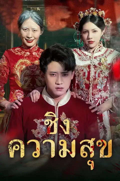 โปสเตอร์ ชิงความสุข