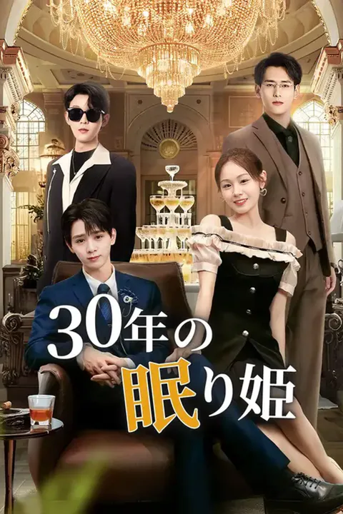 30年の眠り姫（吹き替え）のポスター