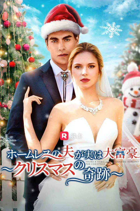 ホームレスの夫が実は大富豪 ～クリスマスの奇跡～（吹き替え）のポスター