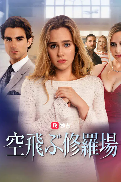 空飛ぶ修羅場（吹き替え）のポスター