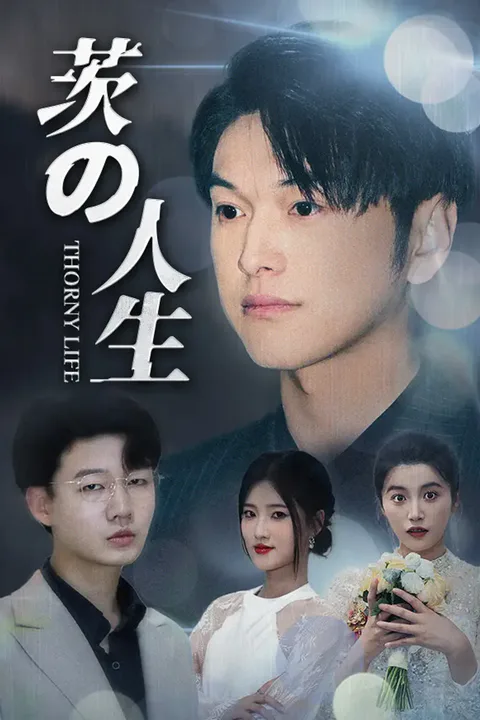 茨の人生のポスター