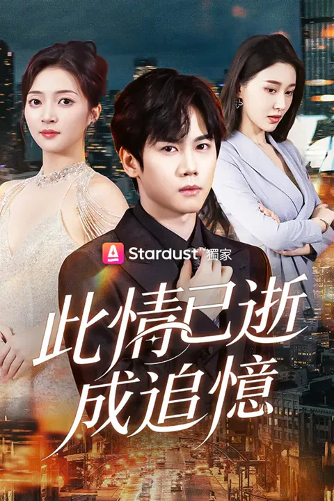 《此情已逝成追憶》海報