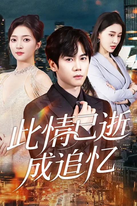 《此情已逝成追忆》海报