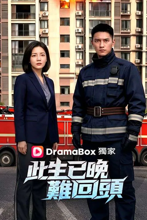 《此生已晚難回頭》海報