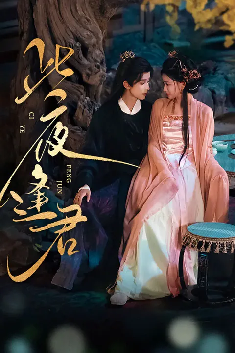 《此夜逢君》海报