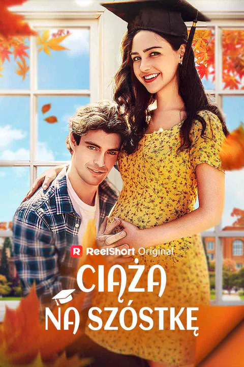 Ciąża na szóstkę – plakat