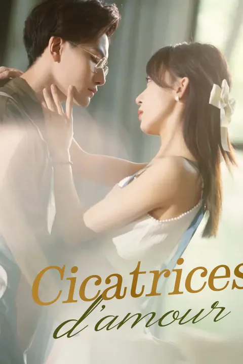 Affiche de Cicatrices d’amour