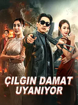 Çılgın Damat Uyanıyor afişi
