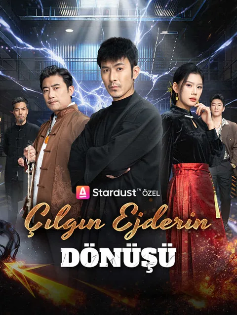 Cilgin Ejderin Donusu afişi