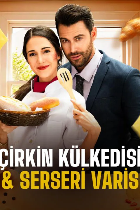 Çirkin külkedisi & serseri varis afişi