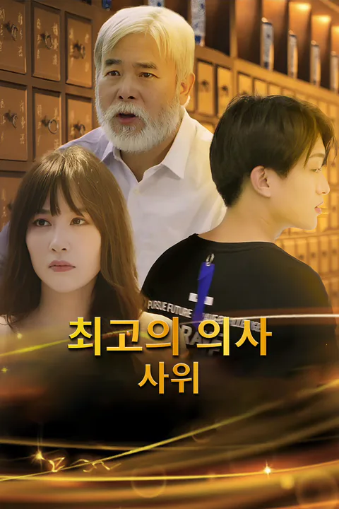 최고의 의사 사위 포스터