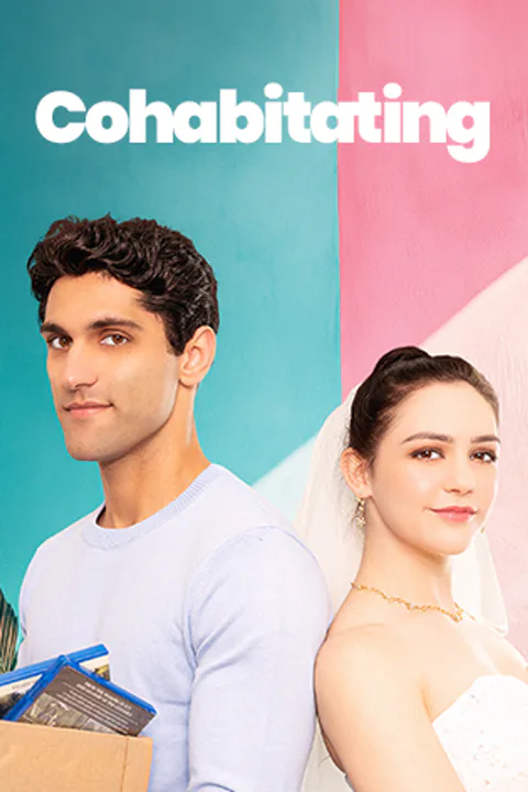 Cohabitating Lover poster