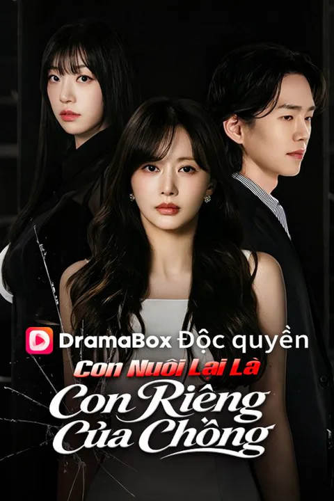 Poster Con Nuôi Lại Là Con Riêng Của Chồng