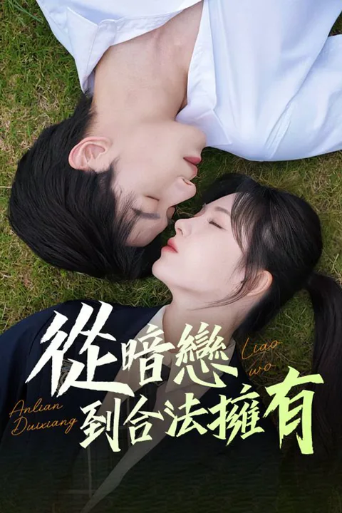 《從暗戀到合法擁有》海報